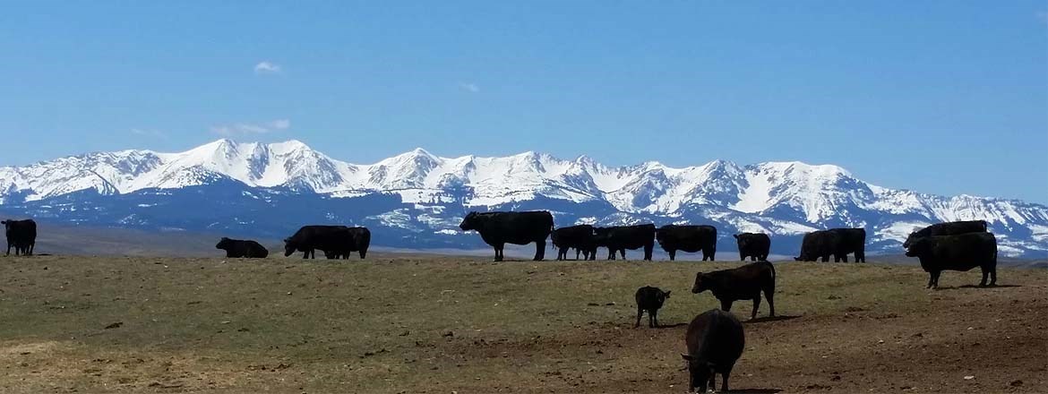 Decorative Image Slide 3