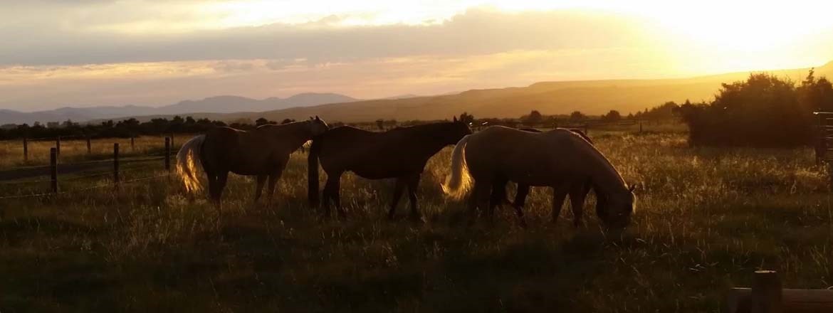 Decorative Image Slide 5